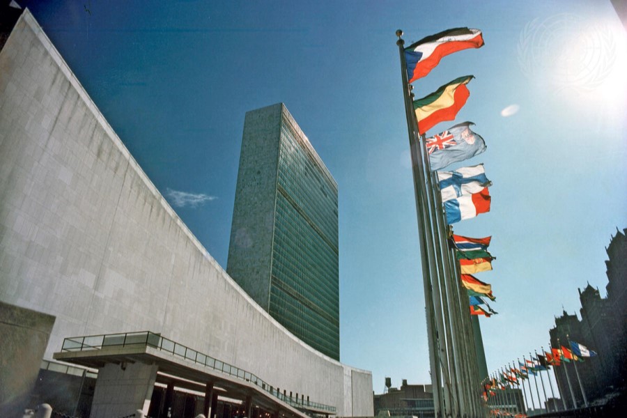 AMR: UN General Assembly commits to decisive action