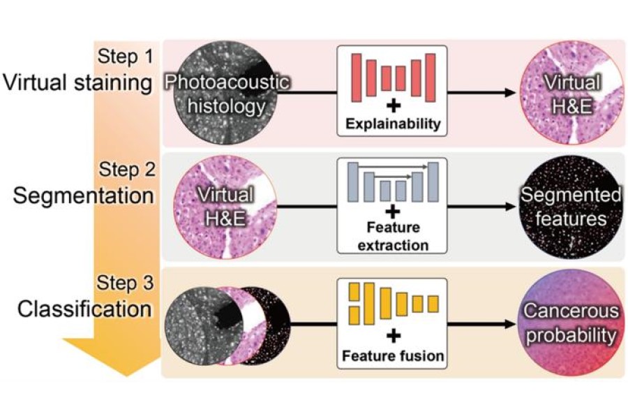 Beyond conventional pathology, label-free histology meets AI