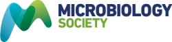 Microbiology Society Annual Conference 2025