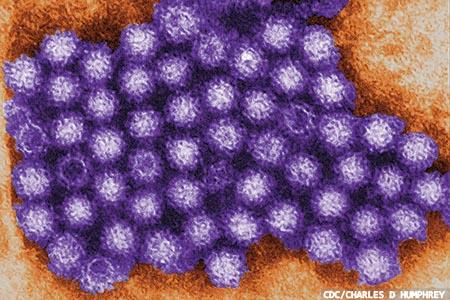 UK’s first norovirus mRNA vaccine trial launched