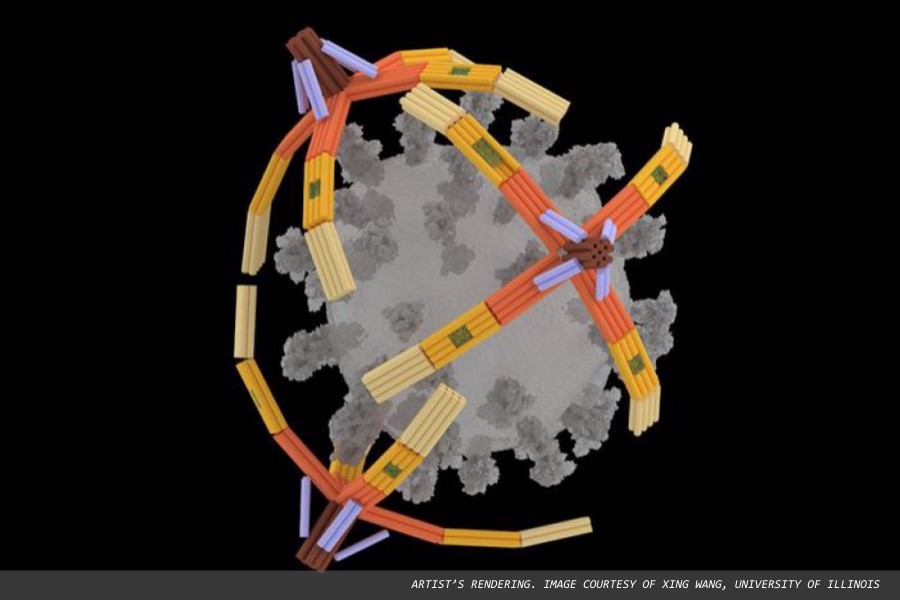 Nanorobot 'hand' made of DNA grabs viruses for diagnostics