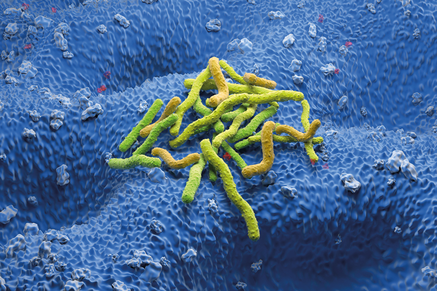 Combating AMR: advanced diagnostics and resistance profiling for H. pylori