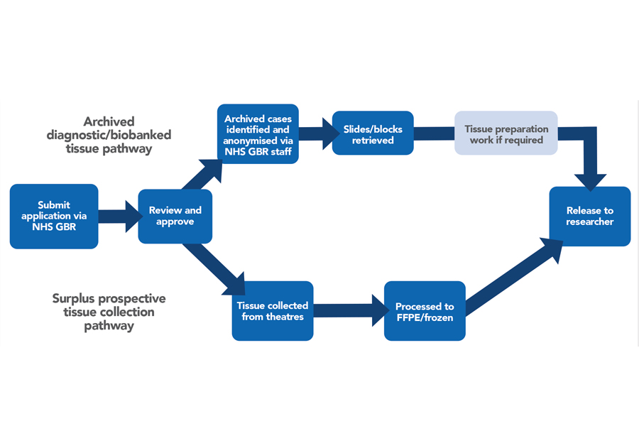 Biobanking – supporting research with pathology techniques