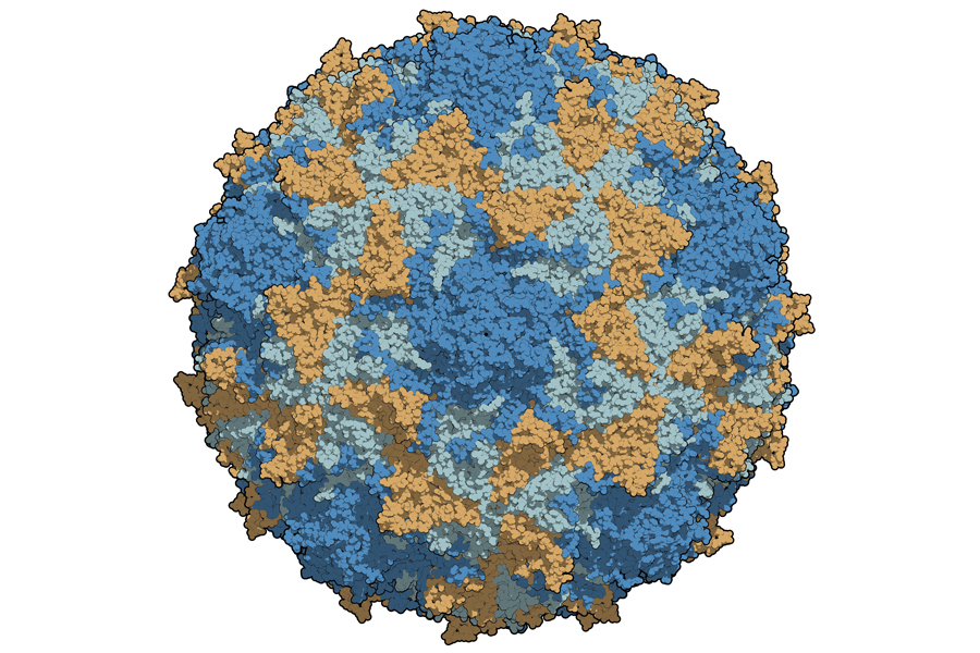 Poliovirus surveillance: a selection of current research interest