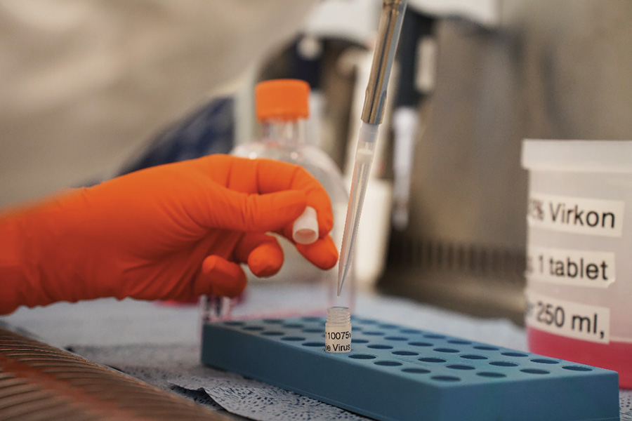 NCPV: a vital resource for virology and global public health