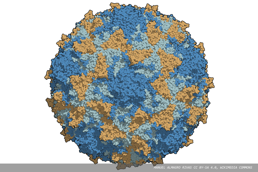 Poliovirus surveillance: a selection of current research interest